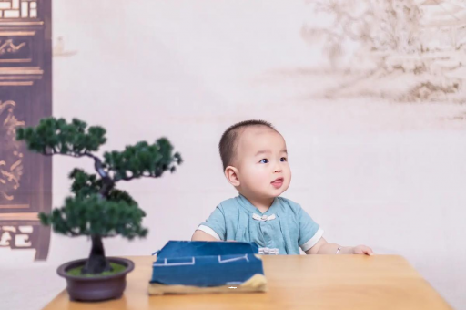 代怀选性别包生男孩6个月的孕妇食谱 代怀选性别包生男孩6个月的孕妇食谱